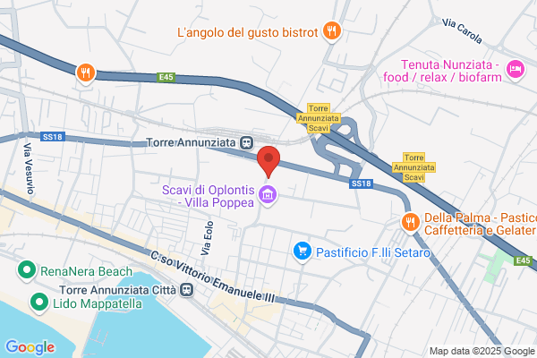 Oplonti Travel Tourist Office Di Molluso Clorinda e C. snc