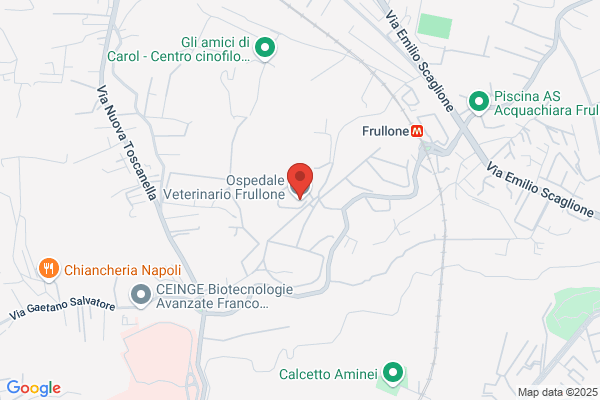 Ffaa Comando Del Servizio Sanita- Veterinario