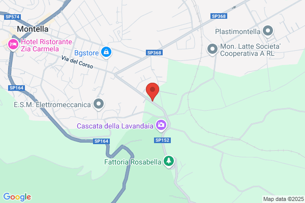 Montella Alfonso & F.Spa