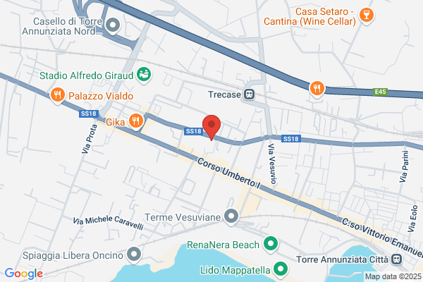 Istituto Dante Alighieri
