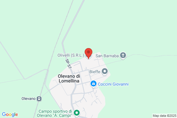 Olivelli S.r.l.