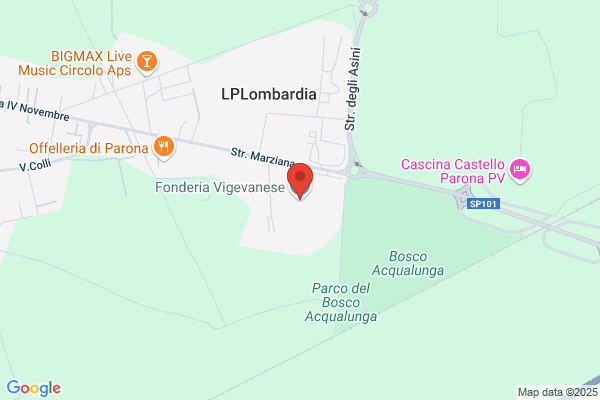 Fonderia Vigevanese Spa