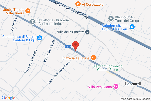 Immobile Domenico Luigi