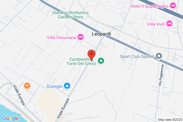 Officina Meccanica  Borriello Service