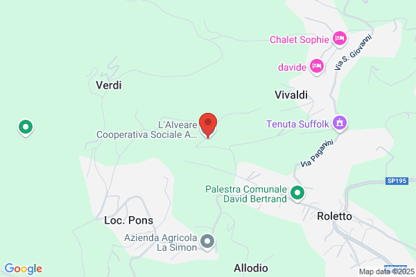 Lalveare Cooperativa Sociale R.L.