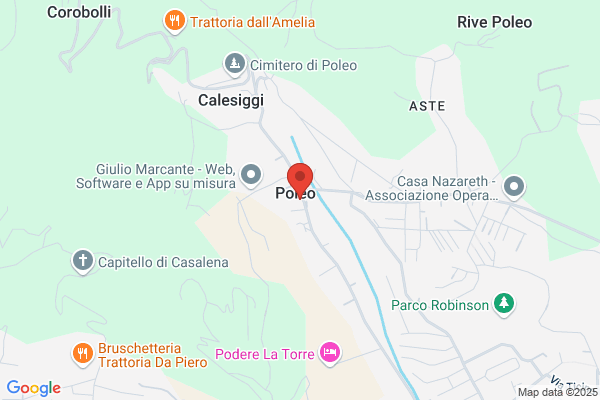 Marsiglio antonio