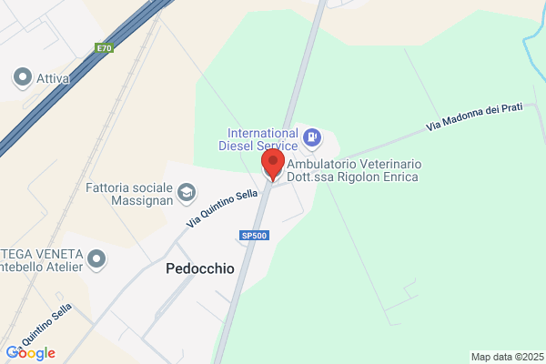 Ambulatorio Veterinario Dott.ssa Rigolon E.