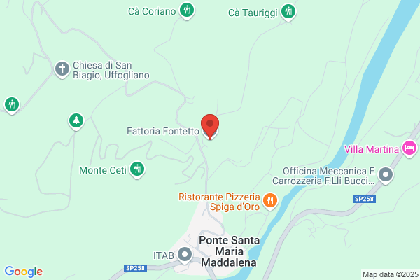 Fattoria Fontetto