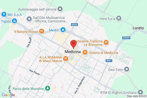 Il Camaleonte Srl