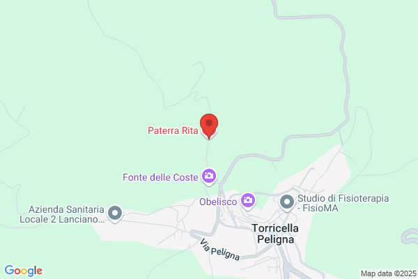 Paterra rita (Dr.)