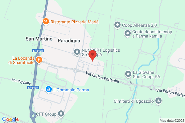 Logistic Service Srl