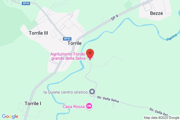 Fondo Grande della Selva