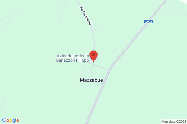 Ganazzoli Mario