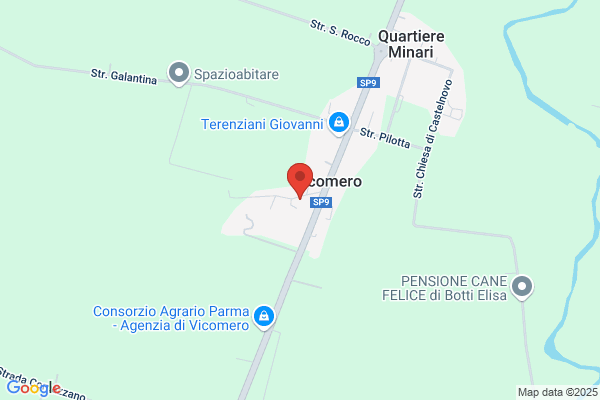 Il Cigno