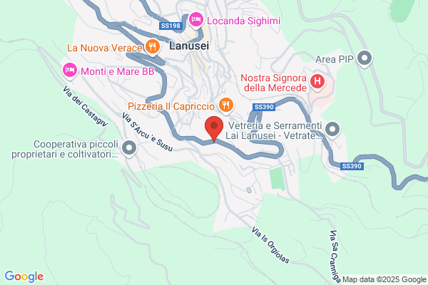 Video Service Di Ibba Angelino