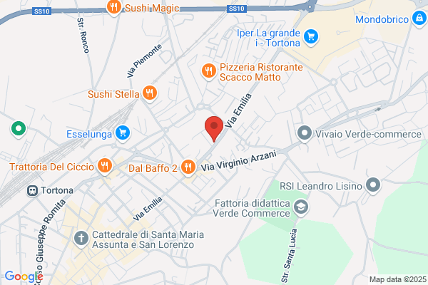 Derthona Viaggi Srl