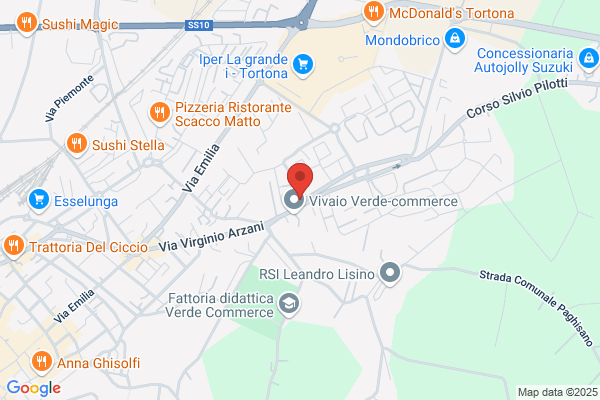 Nuova Damiani (S.R.L.)
