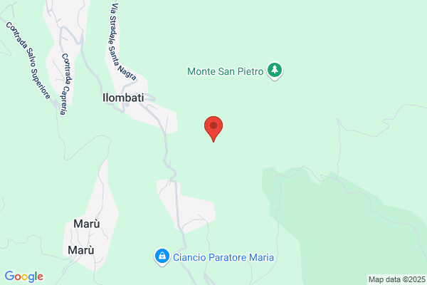 Foti Cuzzola Gino (Geom.)