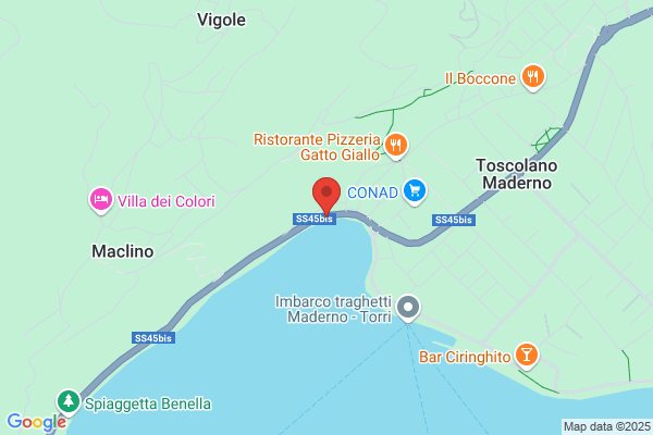 Felicini Domenico