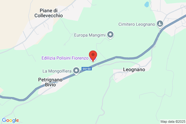 Polisini Group