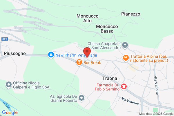 Piccapietra modesto