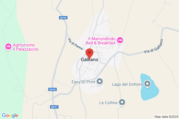 Galliani Gino