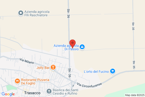 O.S.A. S.A.S Di Morisi Angelo Michele