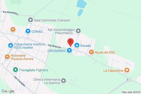 Longinotti Fratelli (S.P.A.)