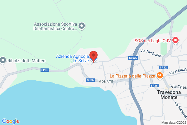 Le pesche di Monate