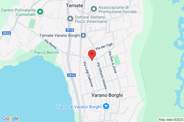 Tamborini fernando