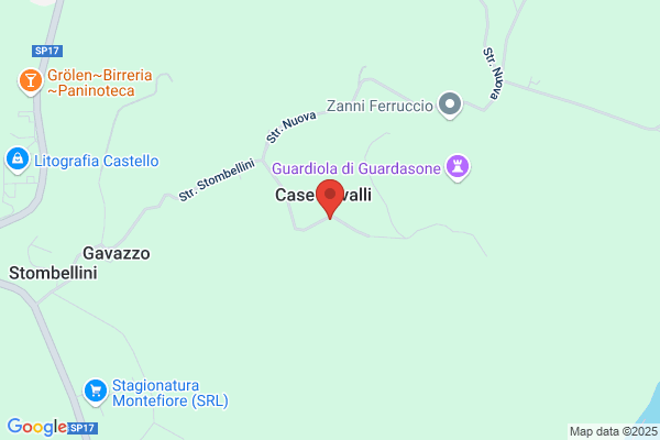 Tagliavini maurizio