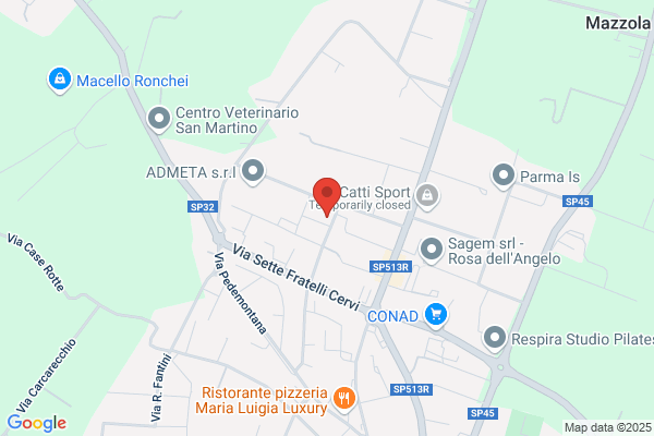 Saga Cartotecnica Srl