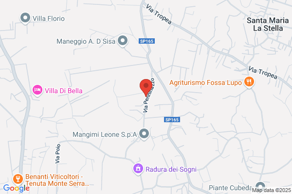 MIC DI BASILE ROSARIO