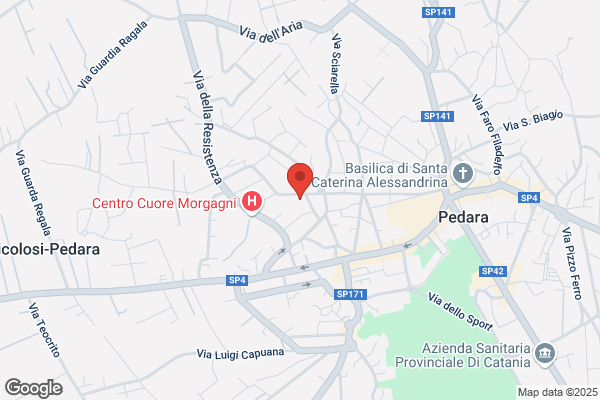 Il Cardellino