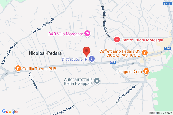 Platania gionanni