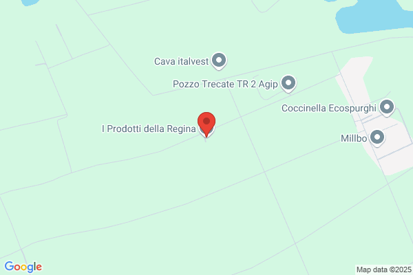 Regina S.N.C.