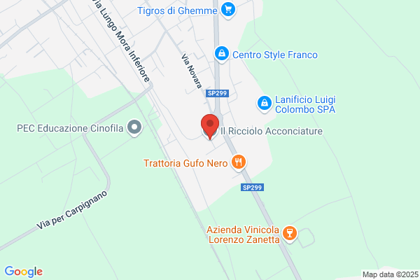 Il Ricciolo
