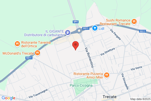 Festa Antonio