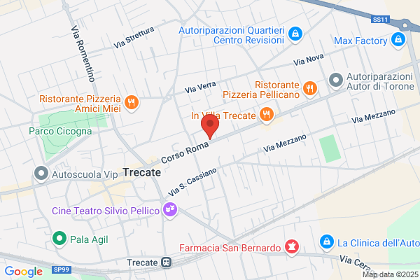 Pezzini Carlo Consulente