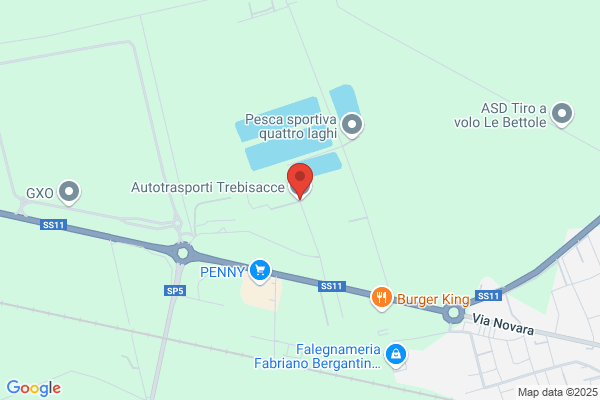 Trebisacce carlo