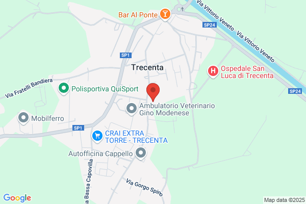 Parrocchia Di Trecenta