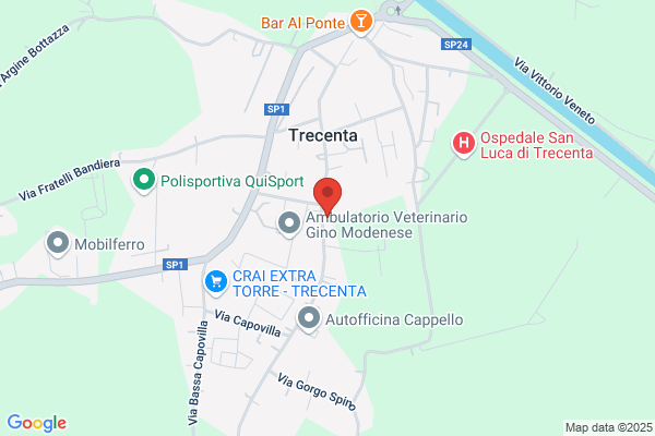 Pro Loco Trecenta