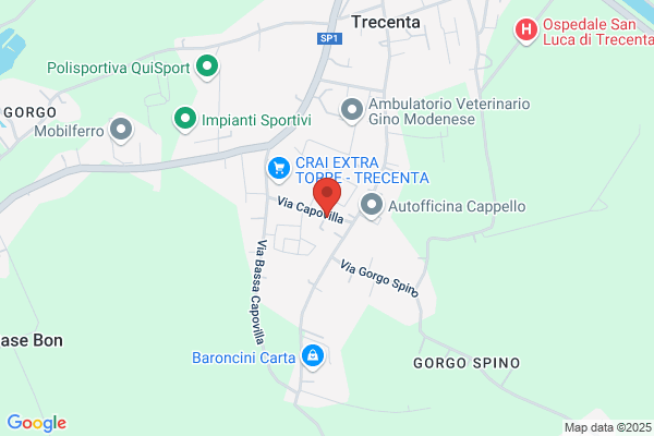 Zapponi alcide