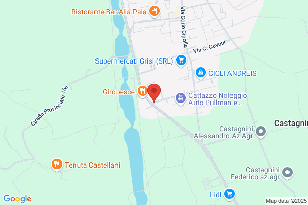 Apollonio Spa