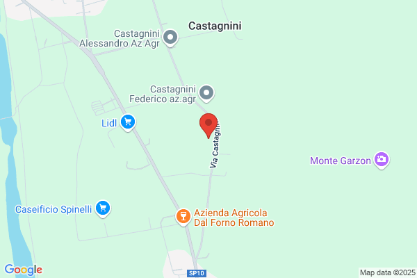Pigozzi agostino