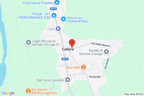 Reppele alfredo (Geom.)