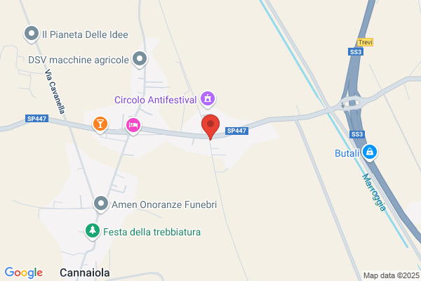 Pannaccio Automobili & C. S.N.C.