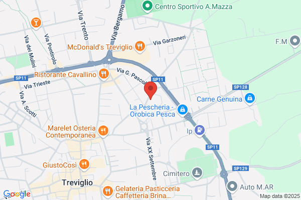 Partito Democratico Della Sinistra
