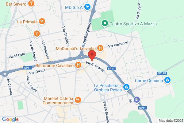 Istituto Di Vigilanza Citta Di Treviglio (S.R.L.)