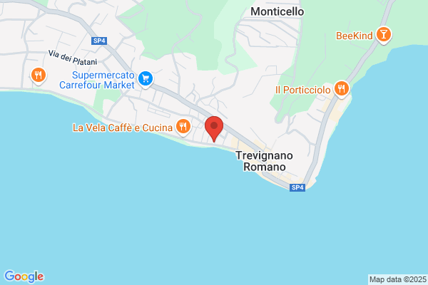 Studio Trevignano S.R.L.